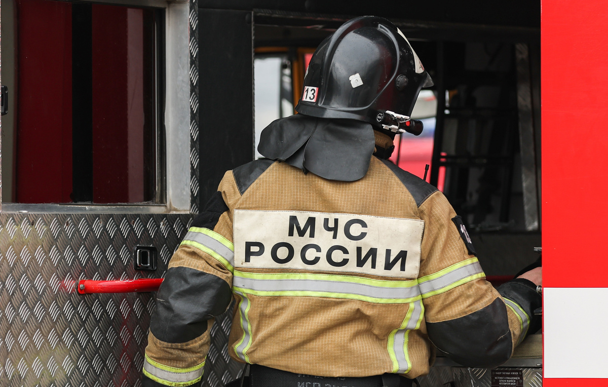 Эрик Романенко/ТАСС, архив