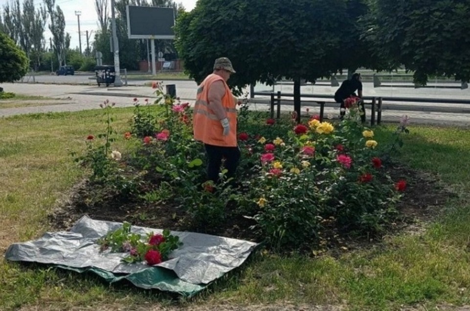    В городе продолжают приводить в порядок зеленые зоны. Фото: Администрация Мариуполя