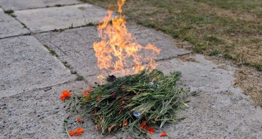    В Пинске и Барановичах милиция уничтожила 62 кг мака и конопли