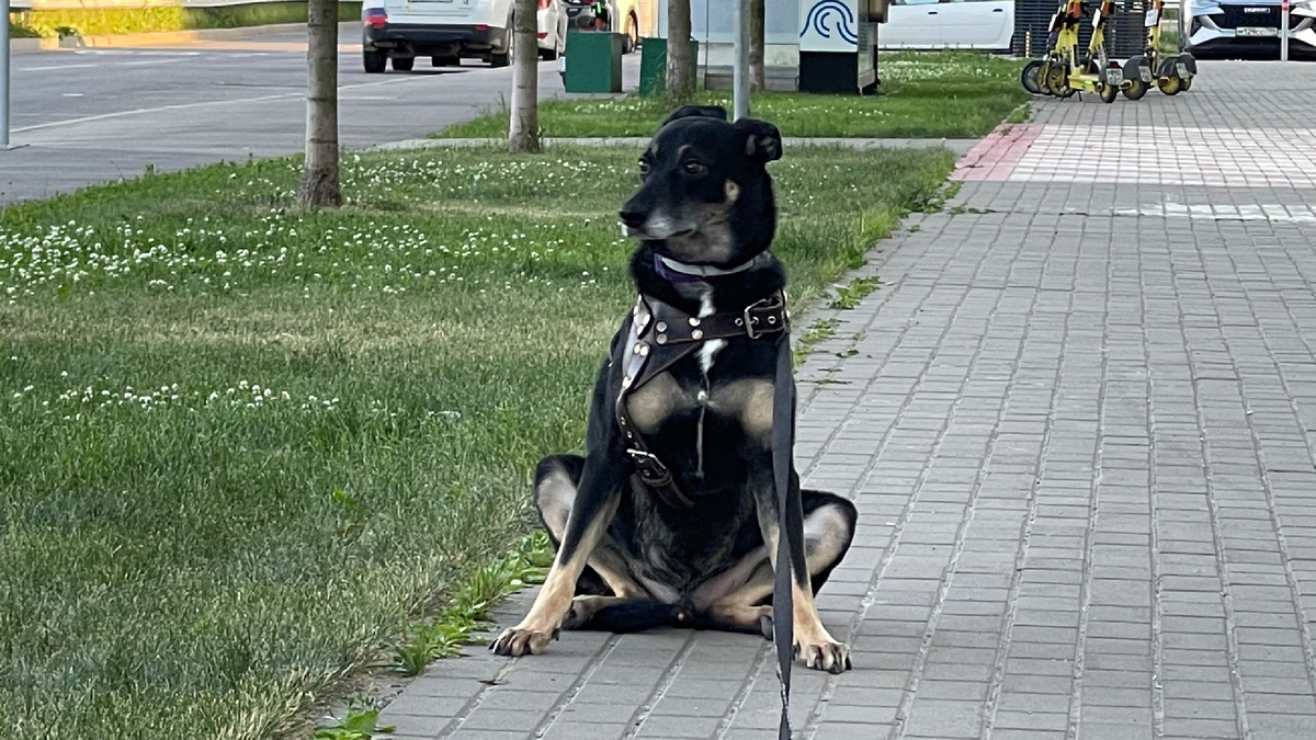 Мда... И зачем я тогда это сделал 🤔?..