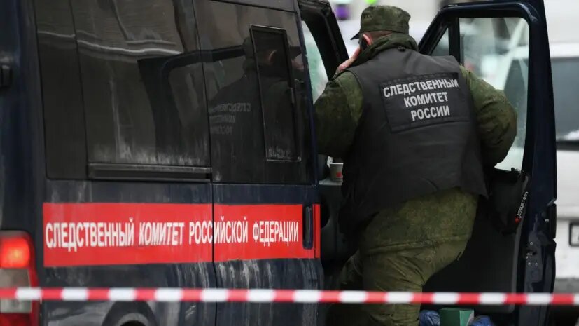    Источник: russian.rt.com Ксения