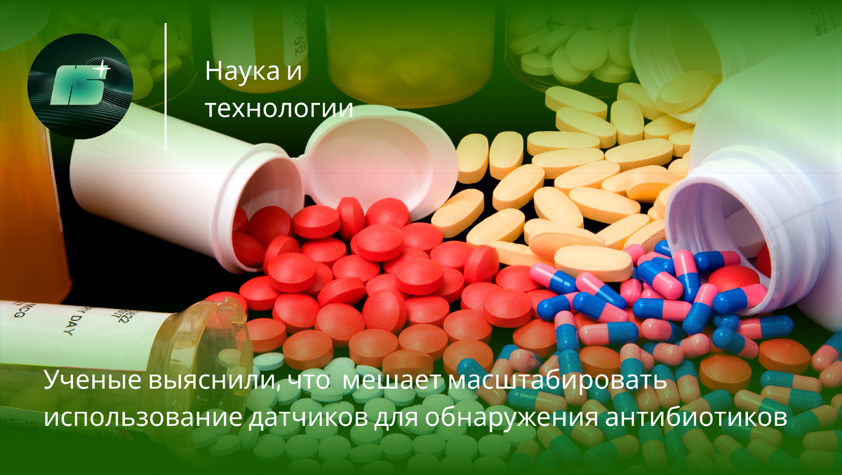 Фото: Wikipedia / Сергей Данилов