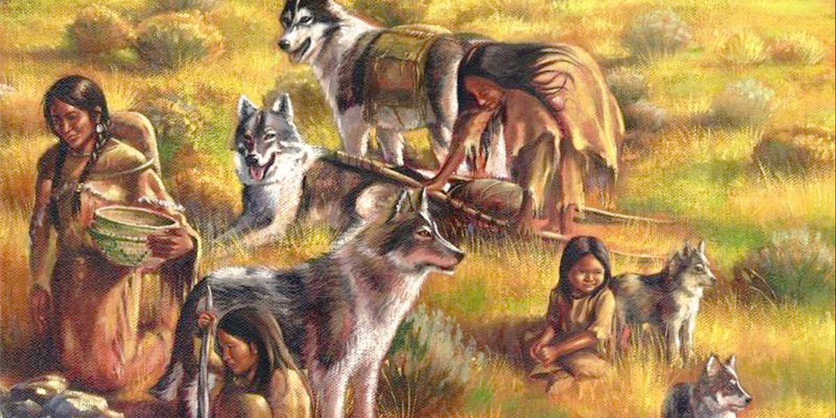 Одомашненные волки.