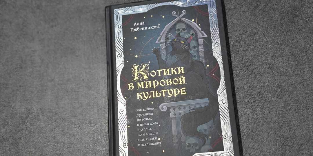 Когда котики проникли в нашу культуру
