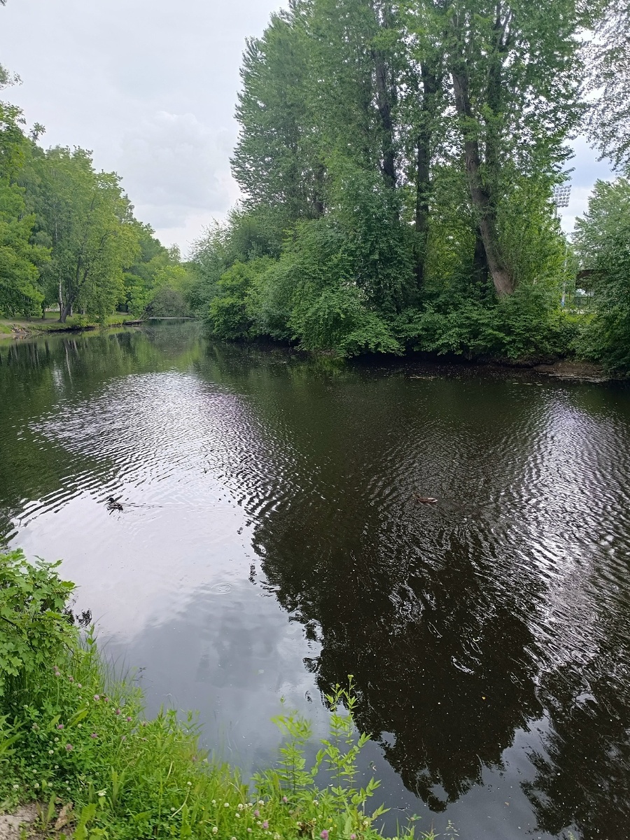 Питерские красоты летом