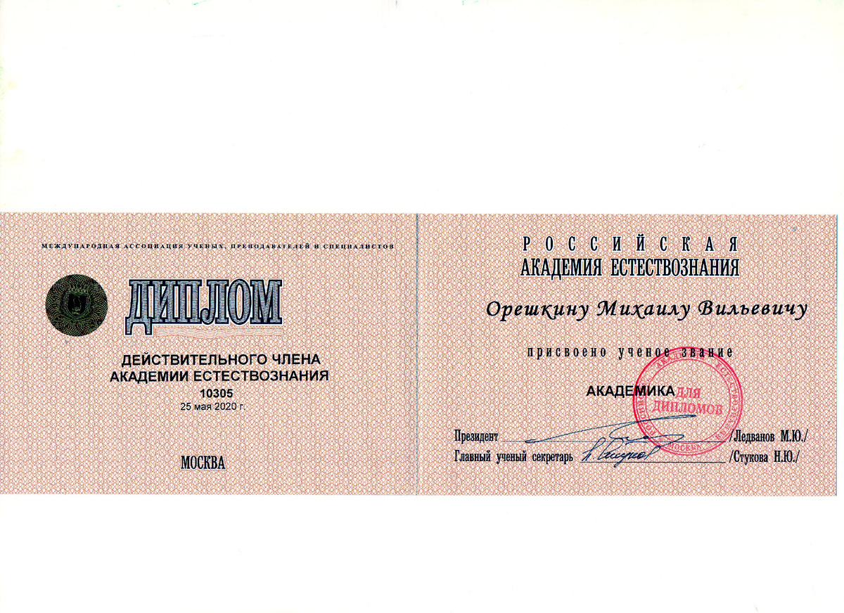 Рис.2 – Диплом Академика РАЕ