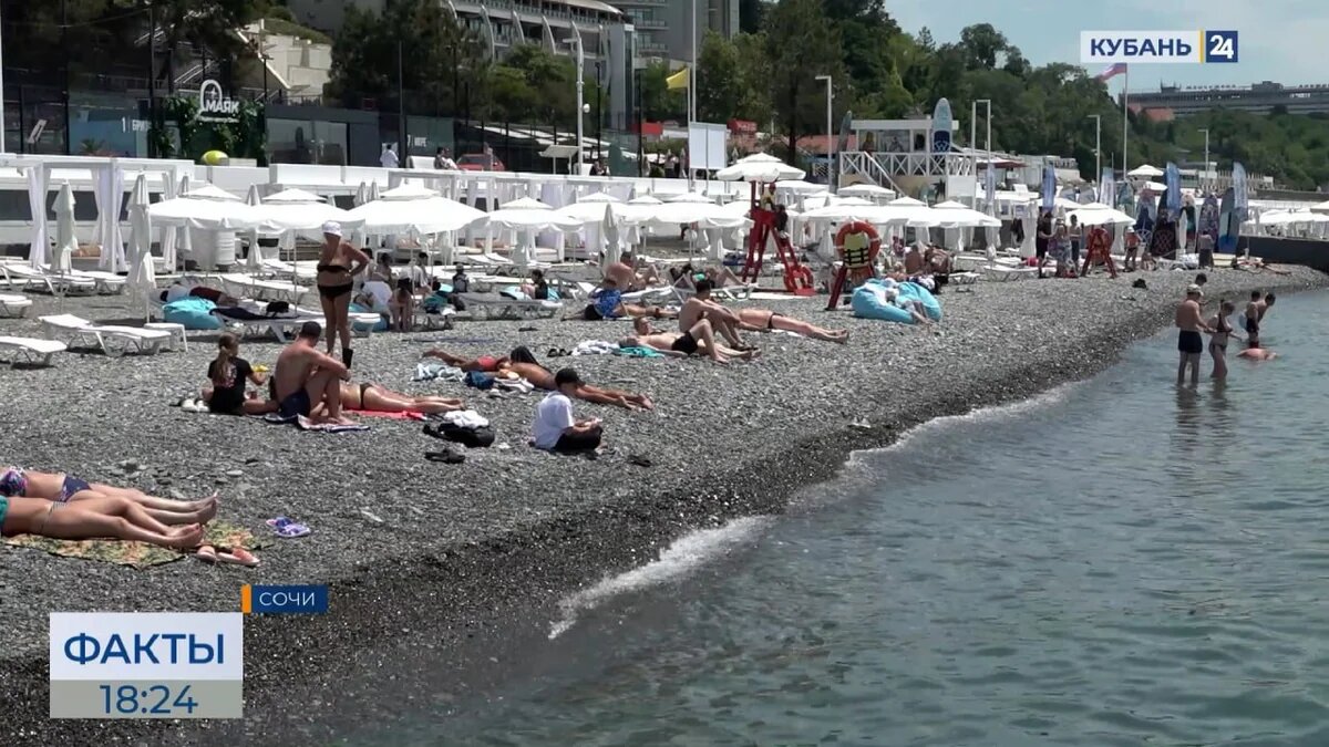    Скриншот видео телеканала «Кубань 24»