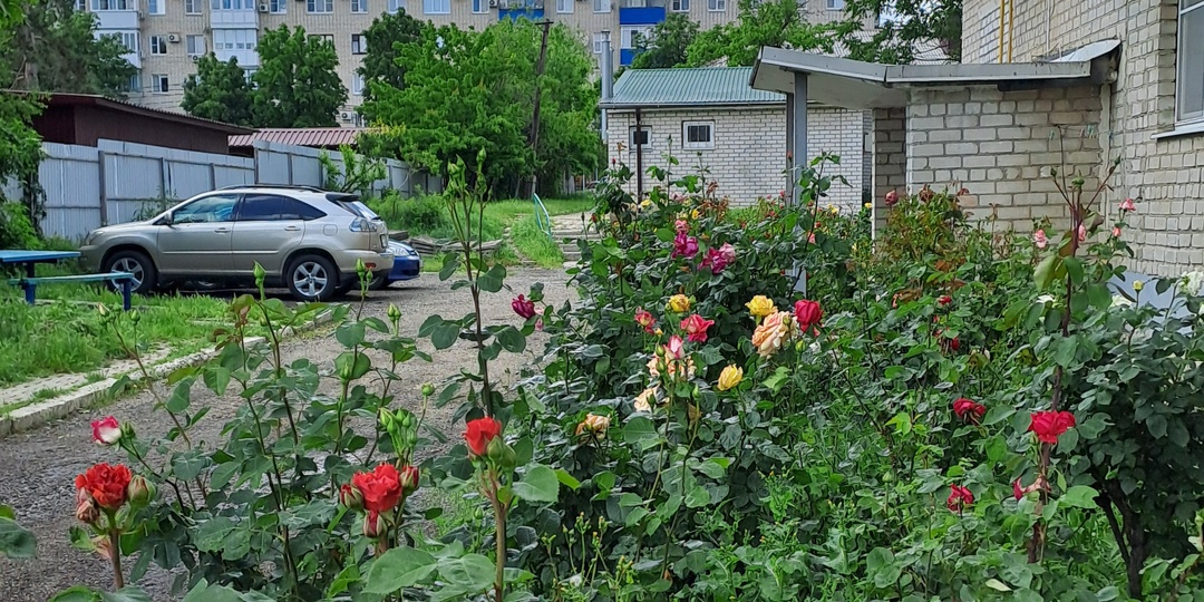 Переезд на юг в маленький город: наш бюджет и неожиданные траты