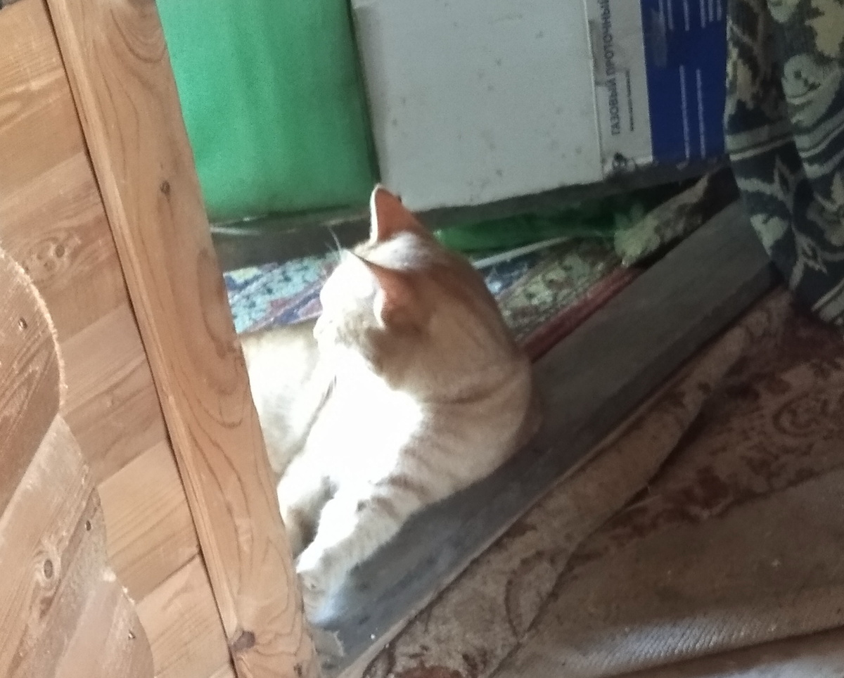 личное