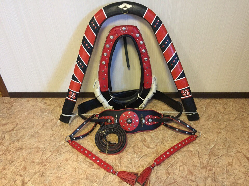 Фото из интернета. 