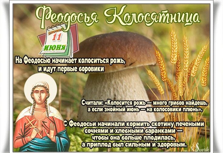 свобод.источник