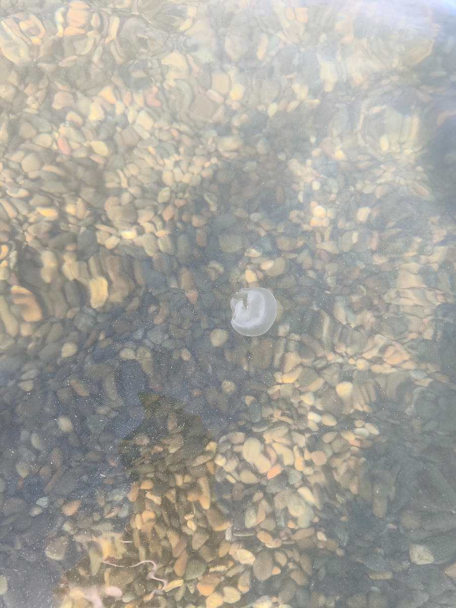 Утром чистейшая вода, но без этого никуда