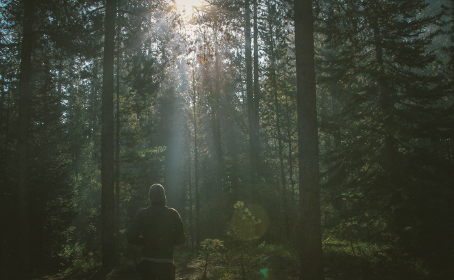    © pxhere.com/ru/photo/596