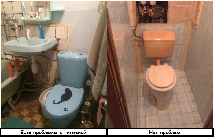 Раздельные санузлы более гигиеничные