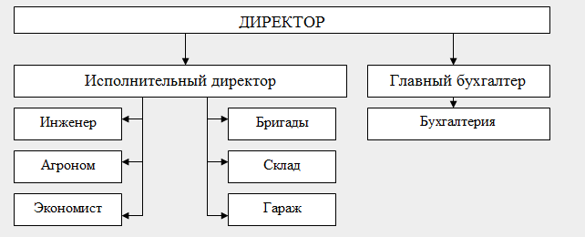 Рис. 2.1 — Структура управления ООО «Алевтина» (составлено автором на основании данных предприятия)
