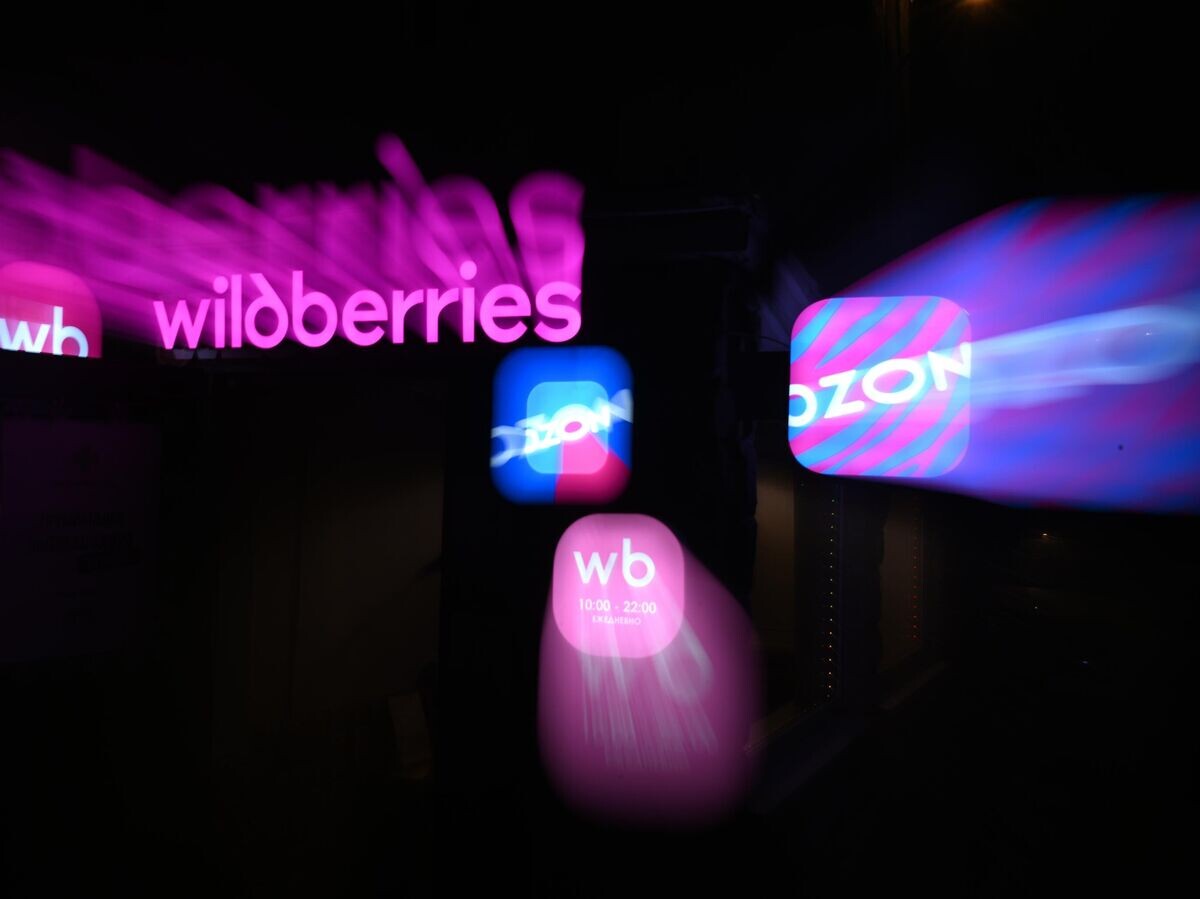    Торговые сети Ozon и Wildberries | © РИА Новости / Максим Блинов