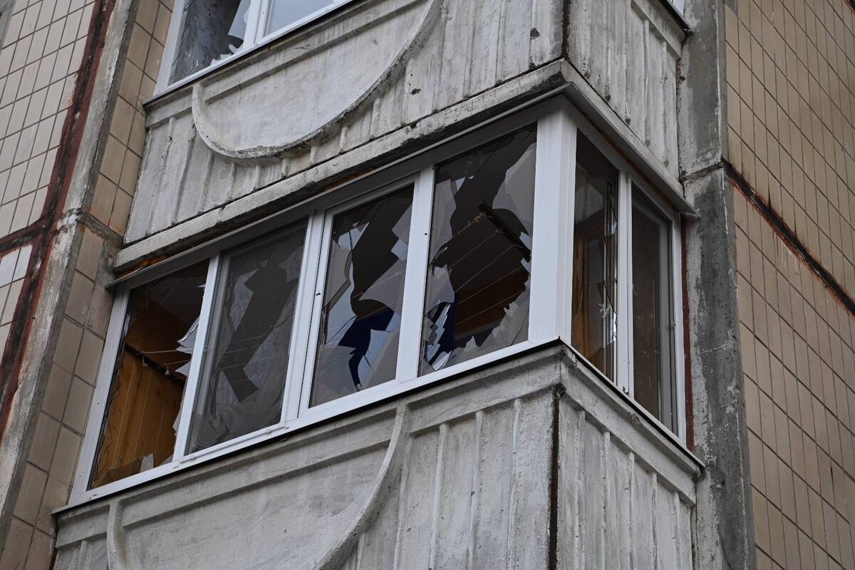    Фото: Фото: Телеграм-канал "Настоящий Гладков"