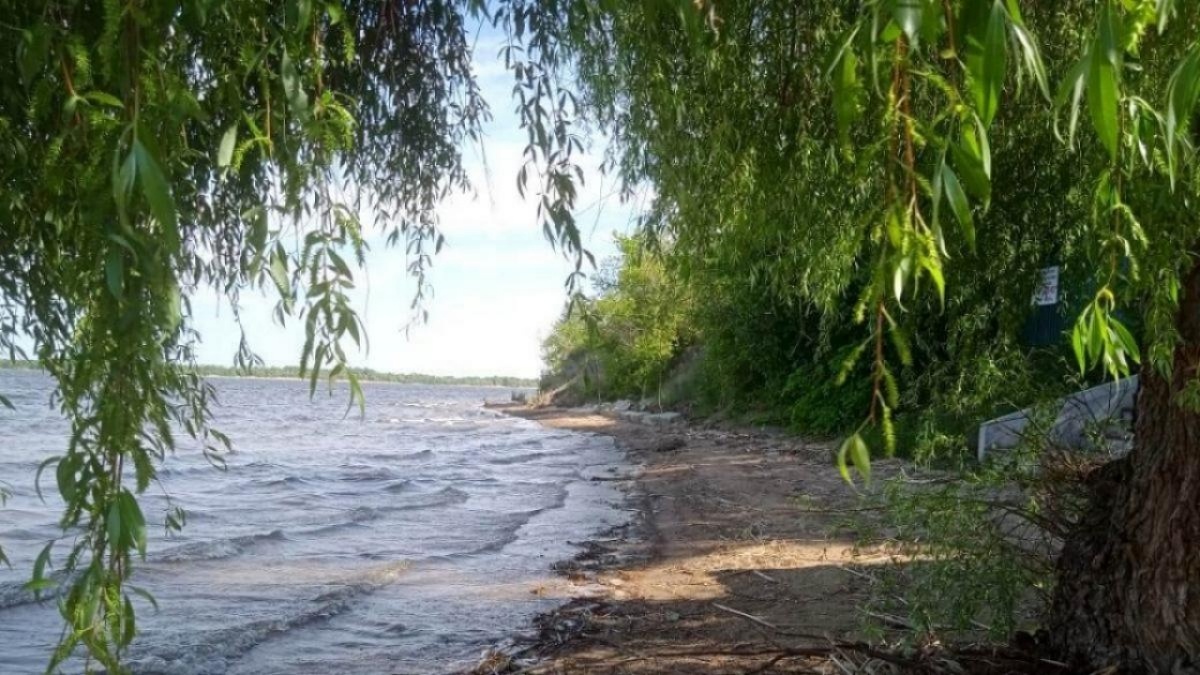    Минпросвещения: вожатых в саратовские детские лагеря будут отбирать еще строжеНовости Саратова и области – Сетевое издание «Репортер64»