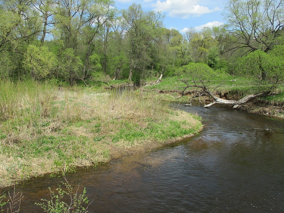 Река Шаня