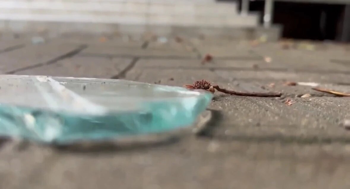    Фото: стоп-кадр видео оперативного штаба Краснодарского края.