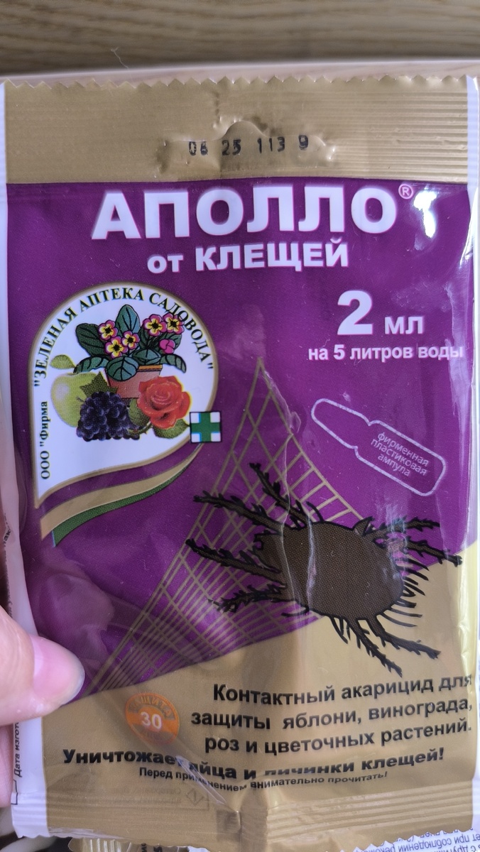 Аполло из хозяйственного магазина.