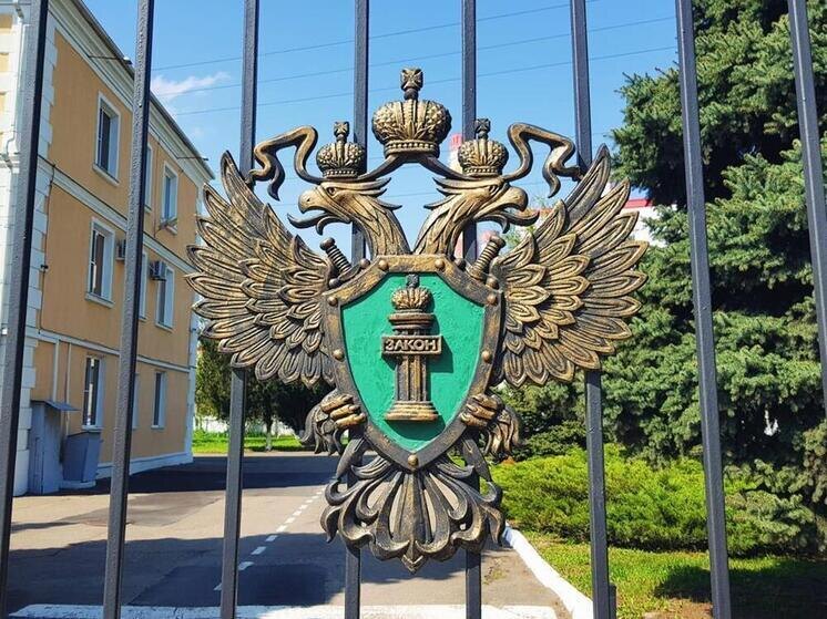     Фото: "МК на Кубани"