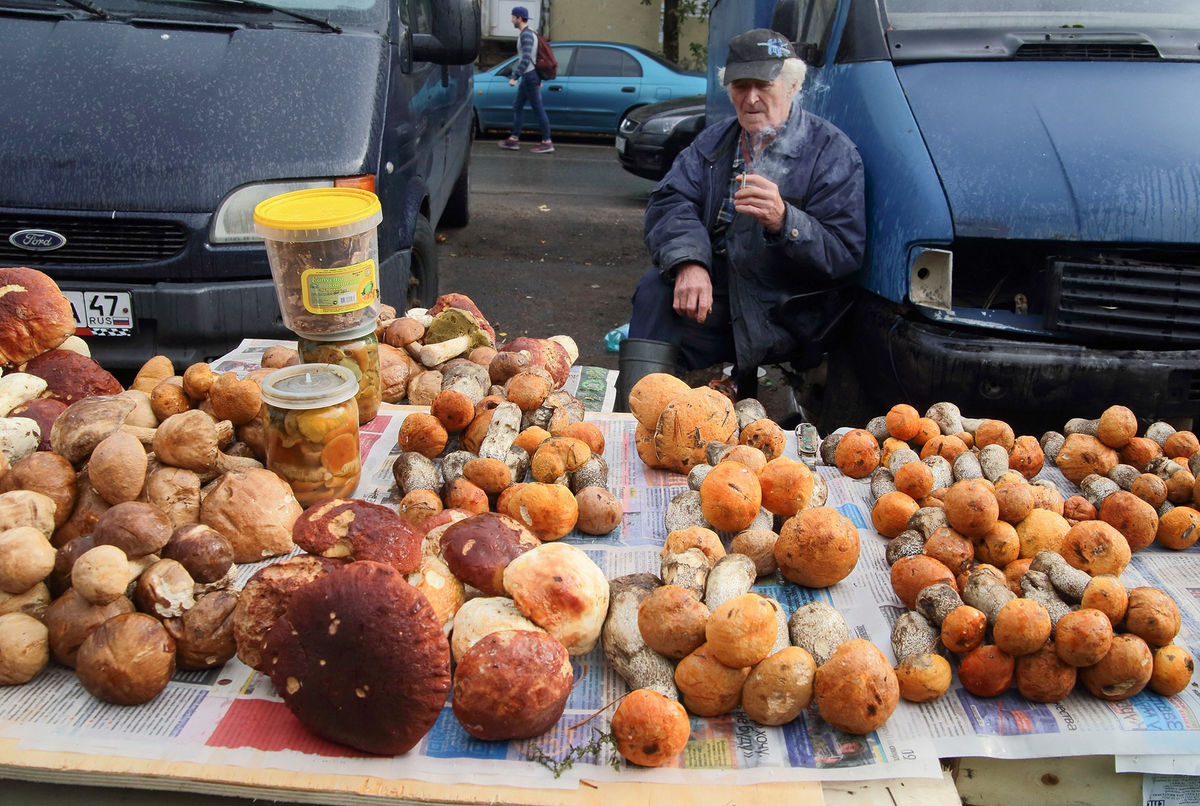 Фото: Замир Усманов/ТАСС