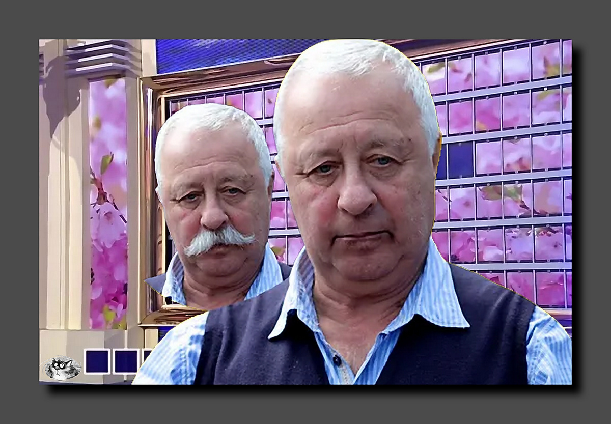 Коллаж автора