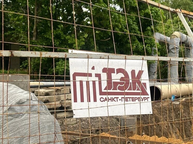     В Выборгском районе тестов меньше. Фото: архив МК в Питере