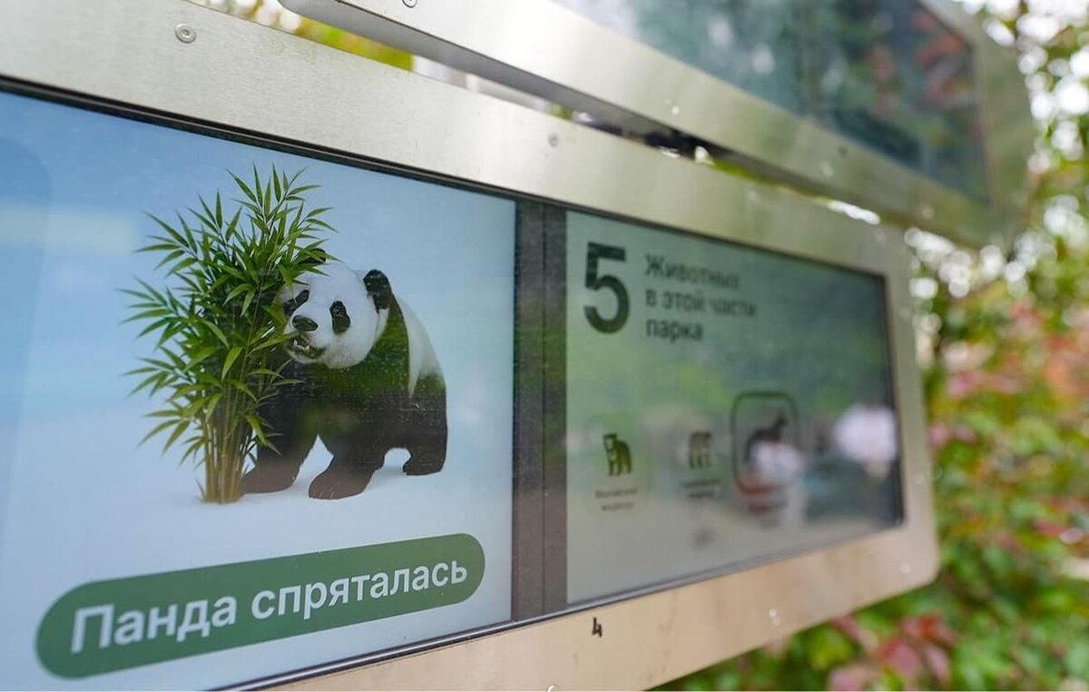    ИИ помогает следить за животными Московского зоопарка