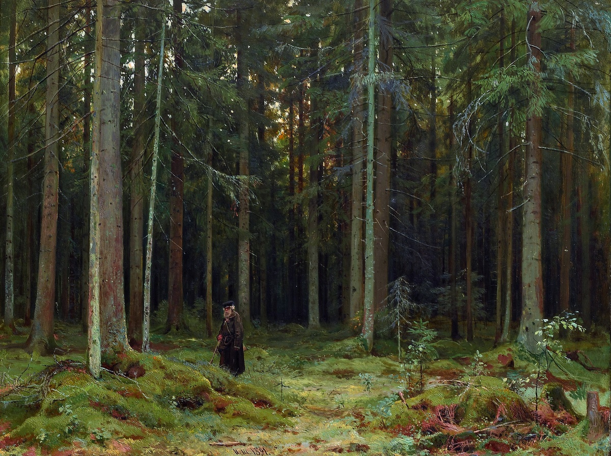 В лесу графини Мордвиновой, Иван Шишкин