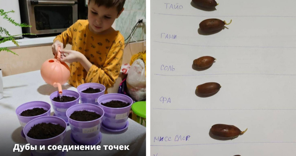 О «Хороших людях», желудях с именами и мальчике Артеме, который сажает дубовую аллею