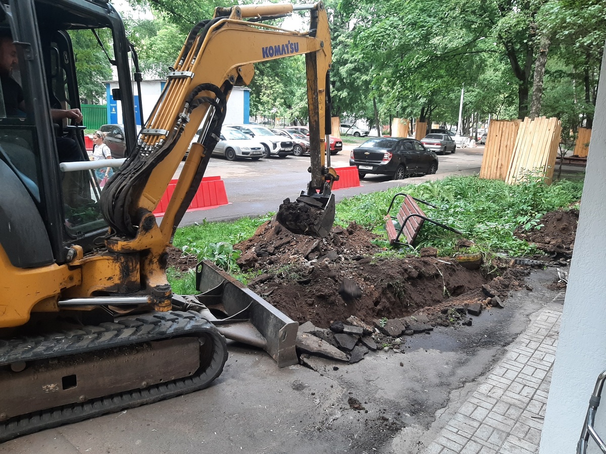Фото автора (далее везде)