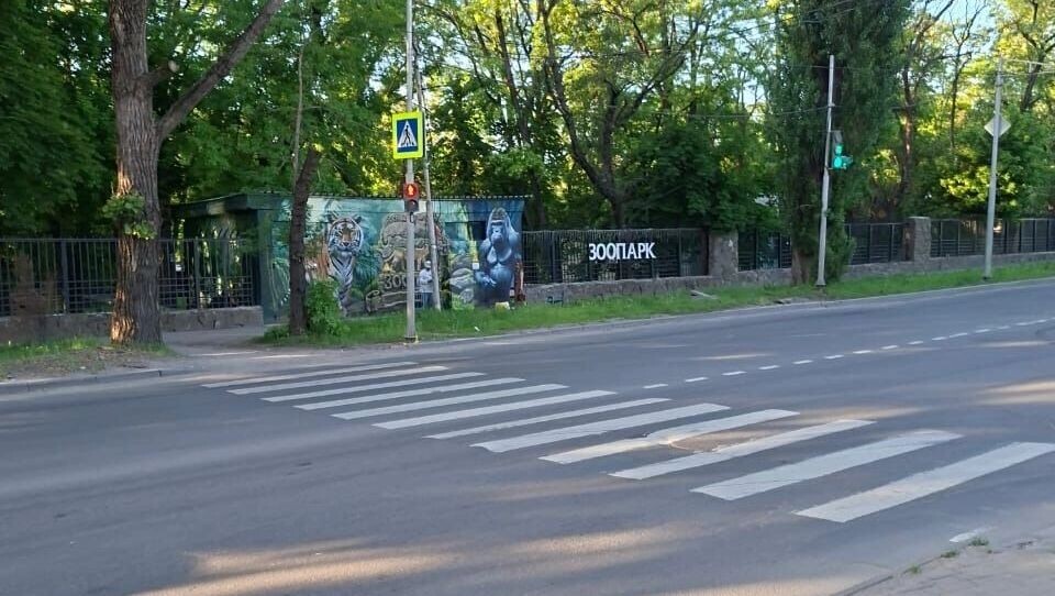    «Убегаю от машин с внуками»: переход к зоопарку в Ростове опасен даже на зеленый свет   читатели / rostovgazeta.ru