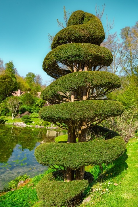 Парк Во-ле-Виконт.Фото: ShutterStock/Фотодом.