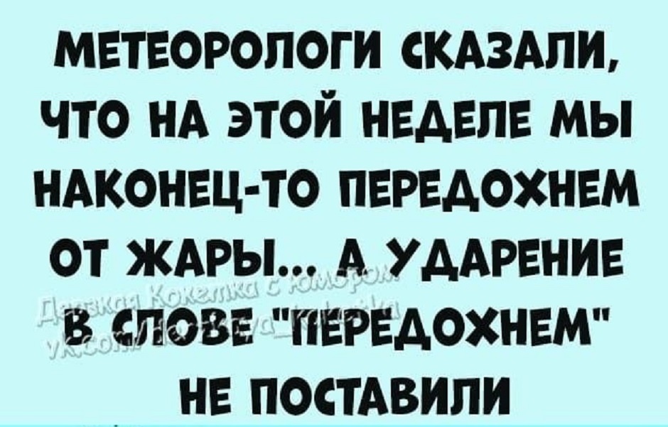 картинки из сети