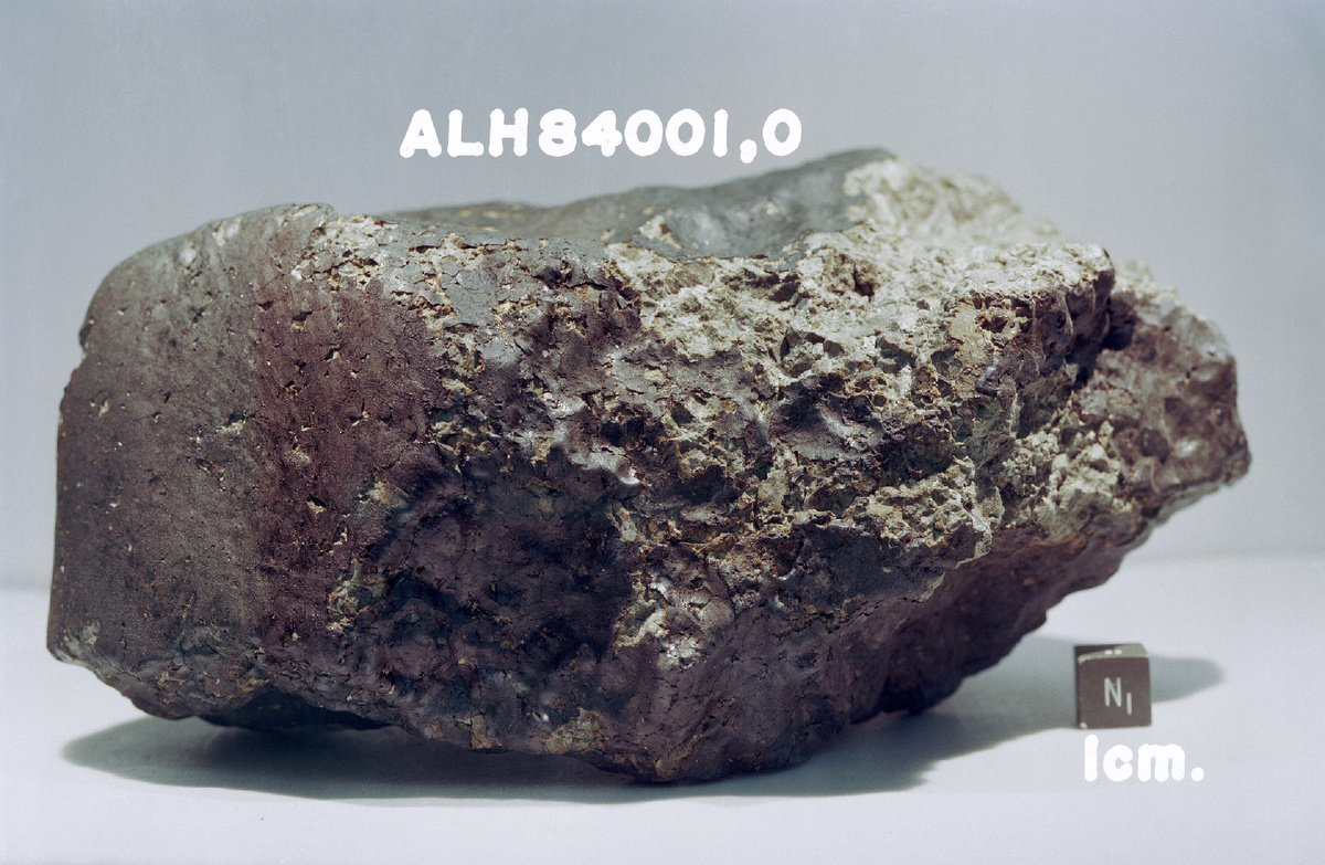 Фрагмент метеорита ALH84001. Национальный музей естественной истории, г. Вашингтон, США. Фото: взято из en.wikipedia.org