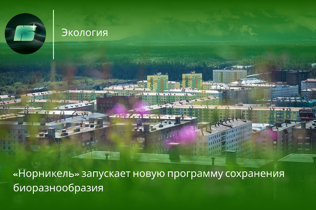 Фото: «Норникель»
