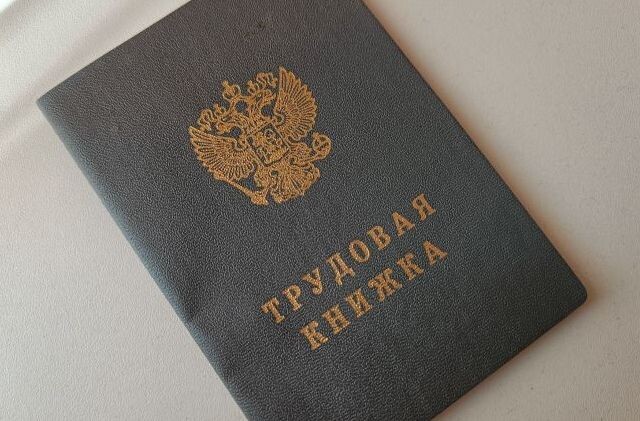 На официальную работу перевели 3,8 тысячи амурчан после вмешательства властей