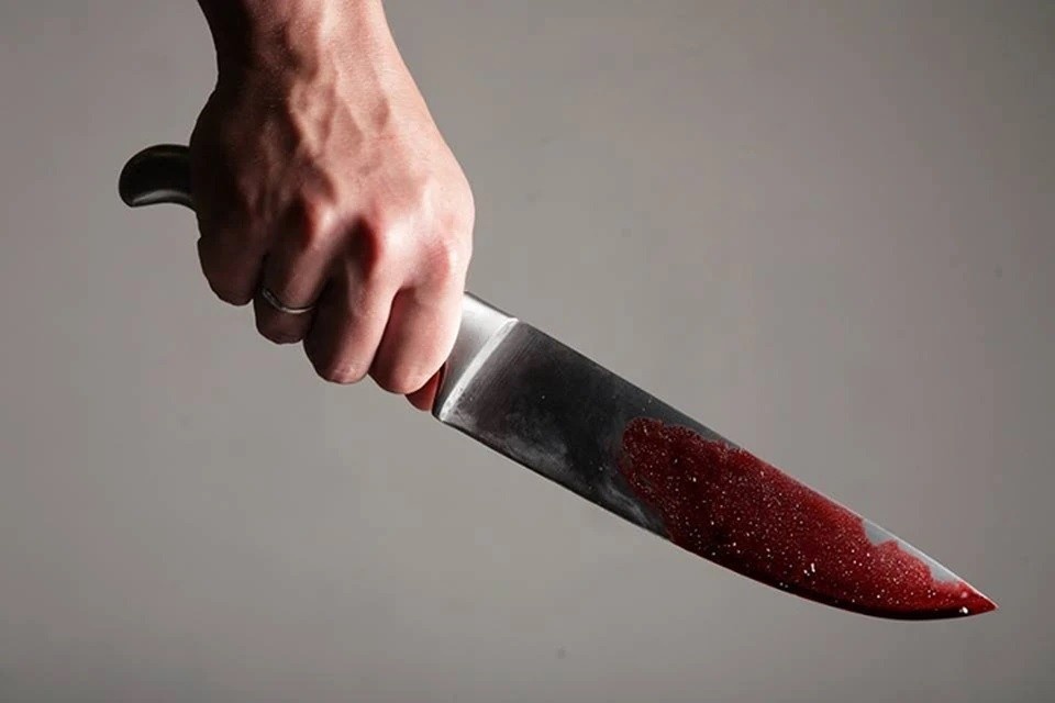    Иностранец задержан за убийство мужчины и нападение на его сына в Подмосковье Святослав ЗОРКИЙ