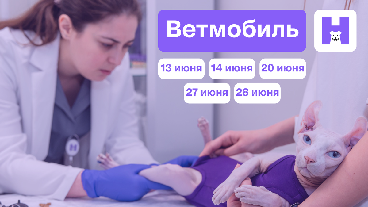 Расписание ветмобиля от «НьюВетТех» и «Питомцы в Москве» в июне