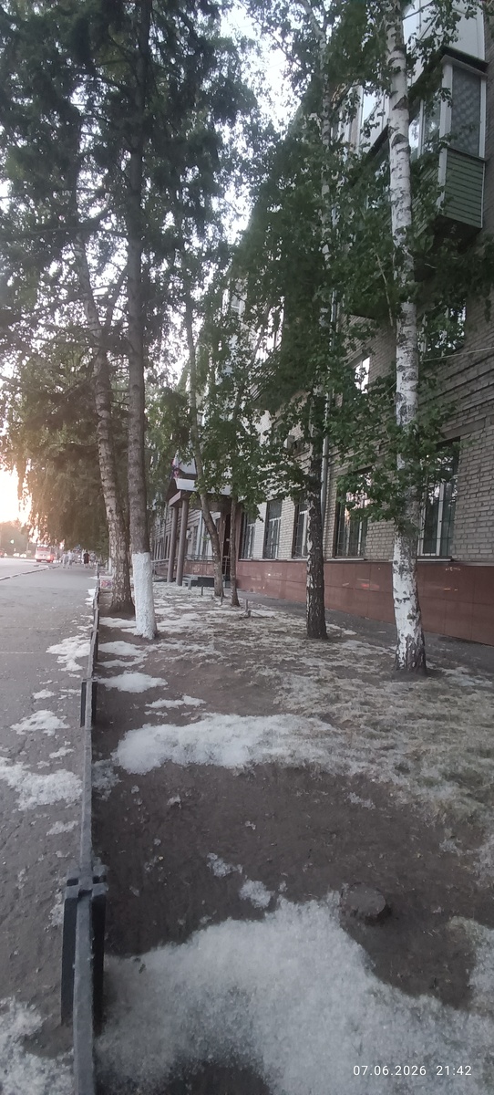 Тополинный пух, жара, июНь. К концу недели из пуха в городе были уже целые ковры.