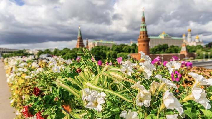  Фото: mos.ru / Официальный сайт мэра Москвы