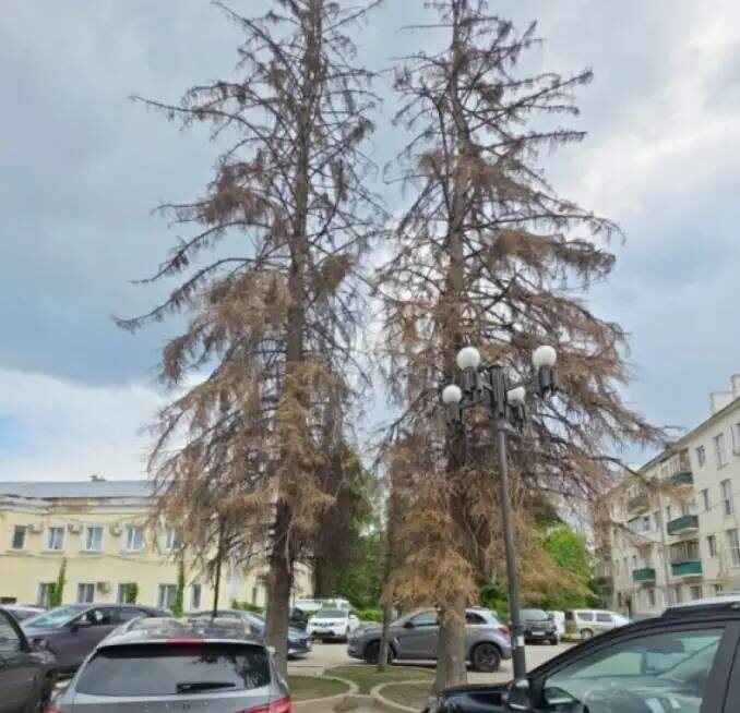 -2