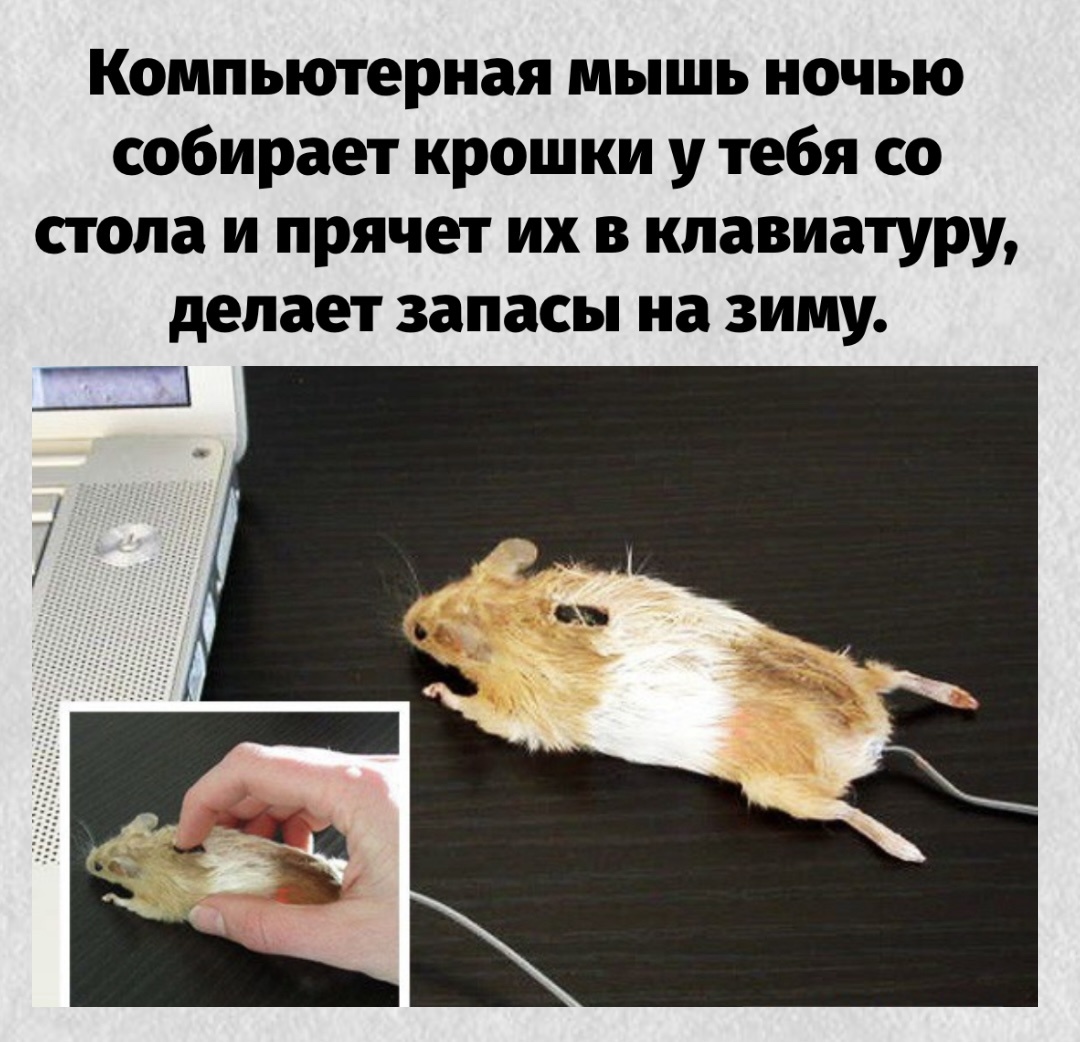 -8