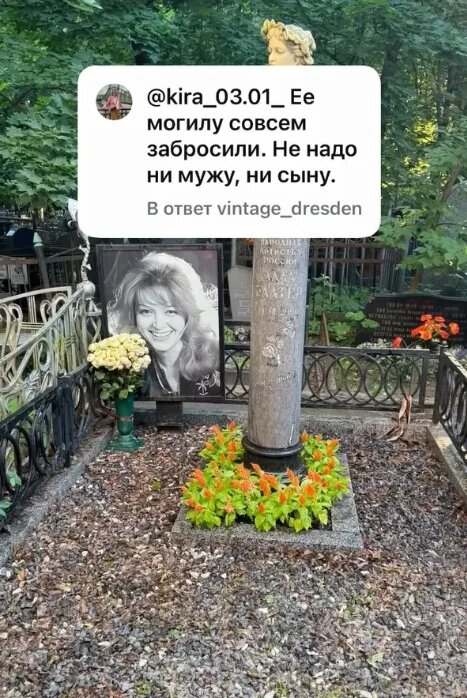    Фото: соцсети
