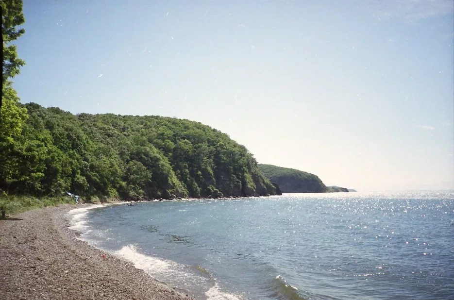 ostrov-russkiy.ru
