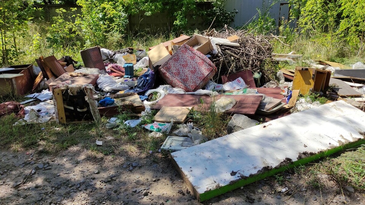    «Обещали оторвать голову и сломать ноги»: в как Ростове борются с нелегальными возчиками мусора   rostovgazeta.ru
