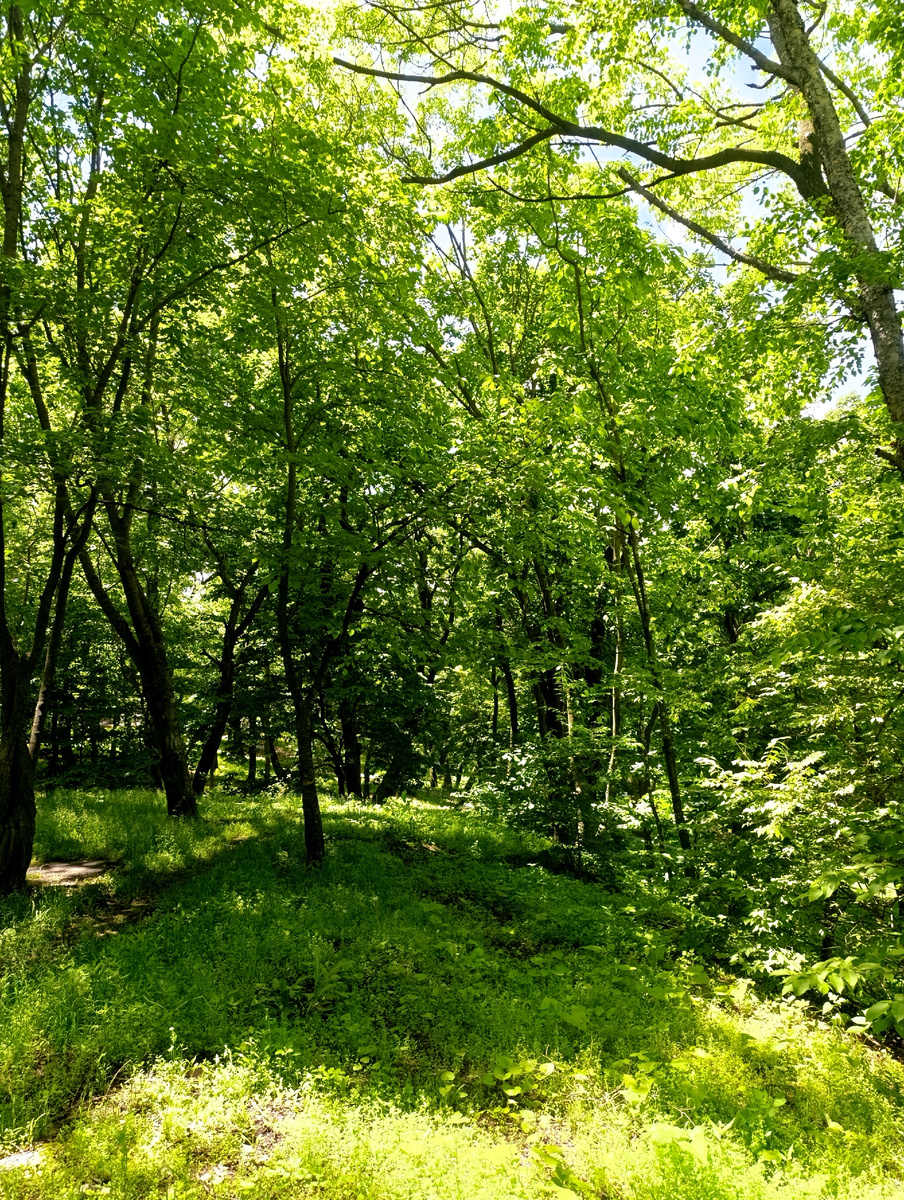 Фото автора.