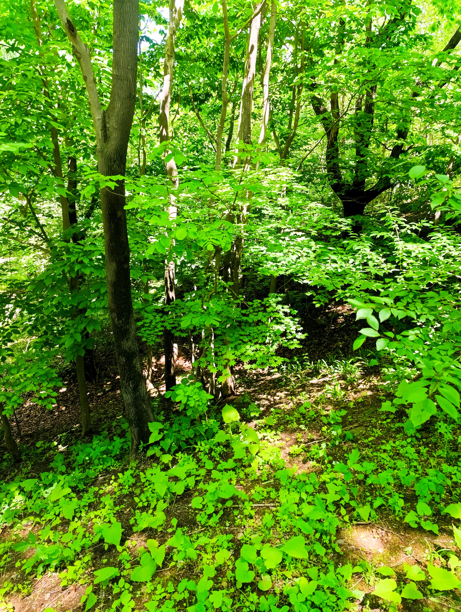Фото автора.